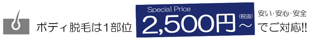 ボディ脱毛プラン - メンズ脱毛【NAX】おゆみ野・鎌取店の紹介