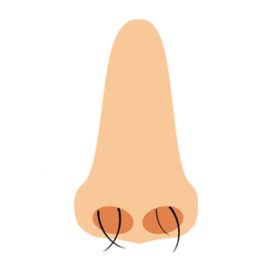 鼻毛 - 鼻毛脱毛