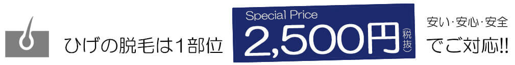 2500円 - メンズ脱毛【NAX】おゆみ野・鎌取店の紹介
