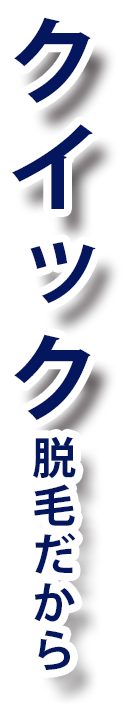 クイック脱毛 - メンズ脱毛NAX柏店LP