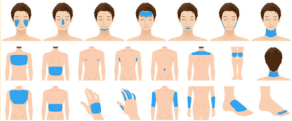 全身対象部位 - フリー・全身脱毛プラン