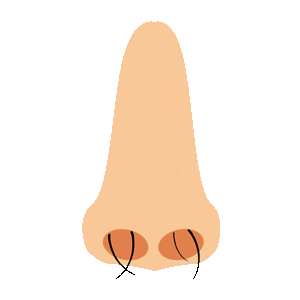 鼻毛 - 鼻毛脱毛って本当に大丈夫なの？鼻毛脱毛のメリットとデメリットをご紹介