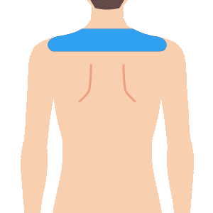 L body kata - メンズ脱毛のメニュー