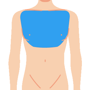 L body mune - メンズ脱毛のメニュー