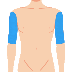 L body udeue - メンズ脱毛のメニュー