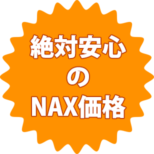 NAX価格 - メンズ脱毛NAX定額制LP（コンプライアンス用）