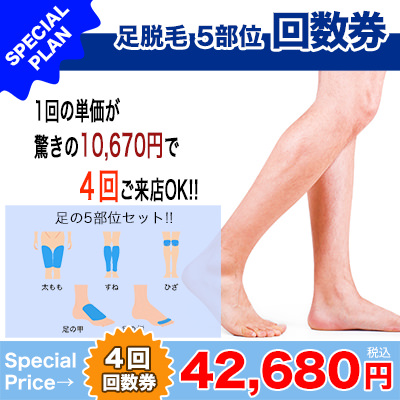 足回数券 - 両足のひざ脱毛
