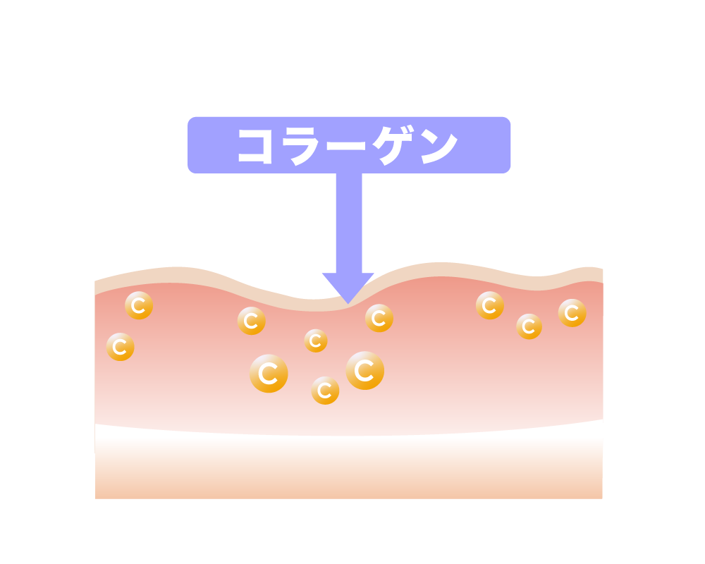 ダーマペンコラーゲン - SELF IMPROVE料金【加古川店】